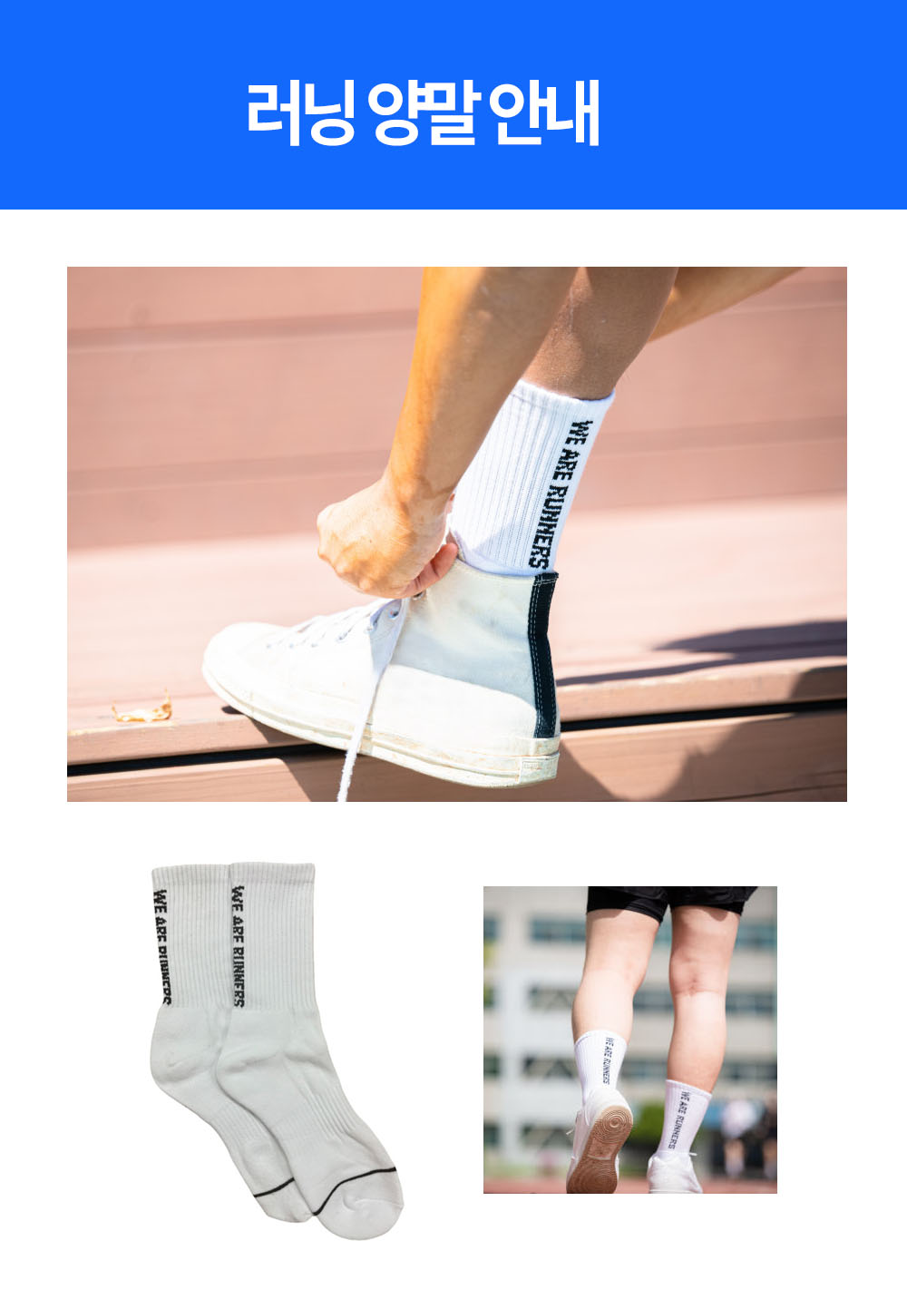 ��ȸ ����