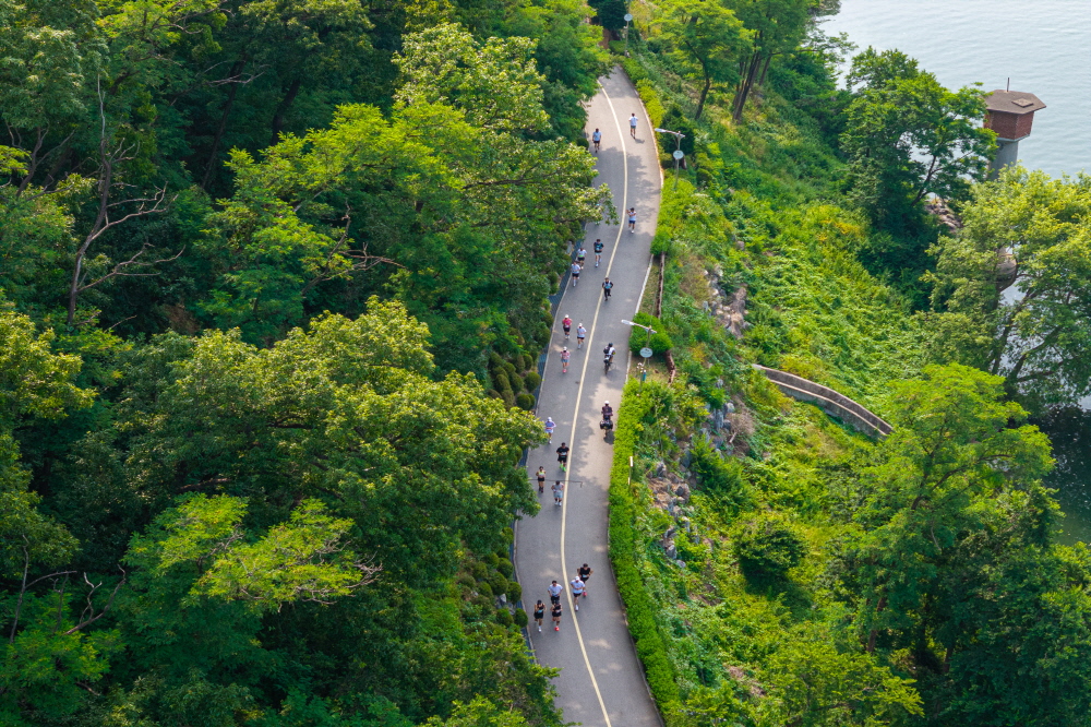 ���� ����